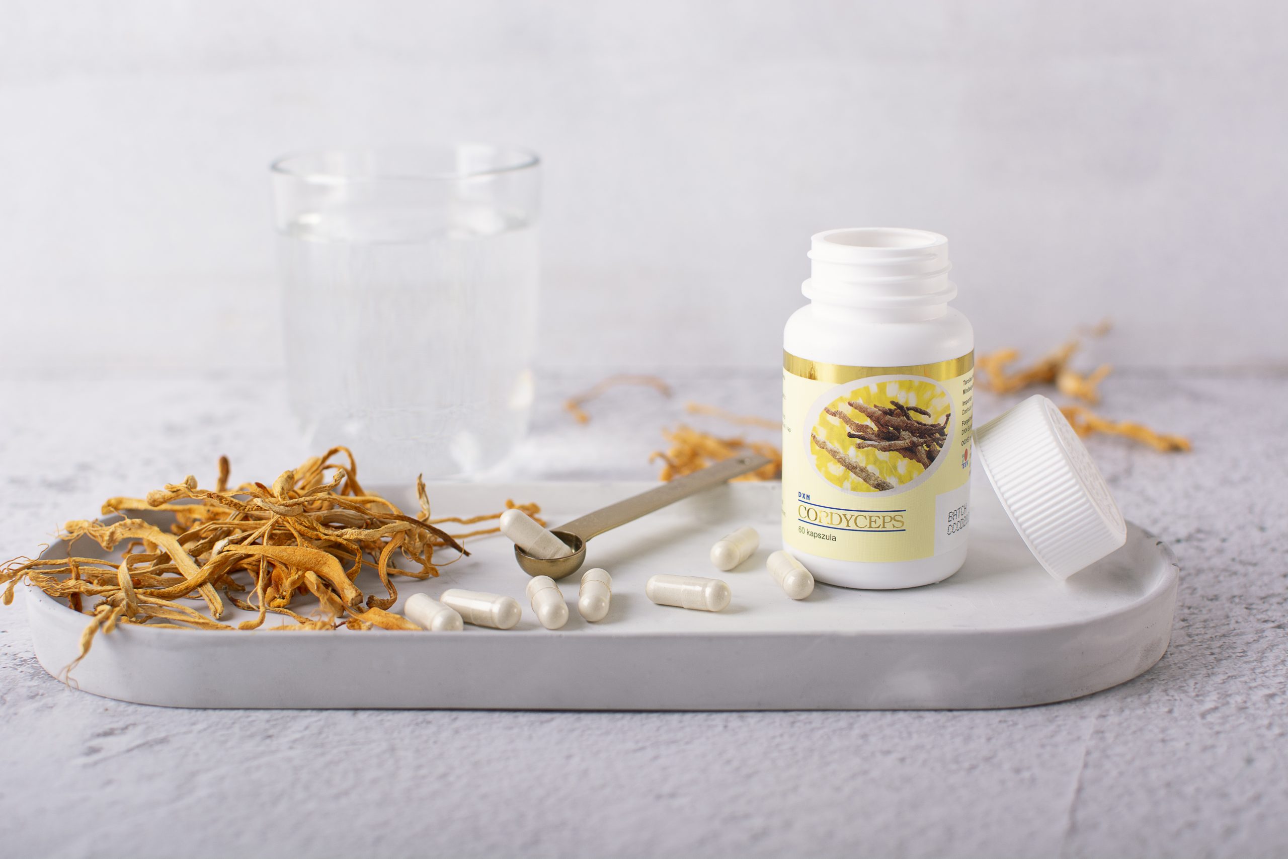 BIO Cordyceps DXN (en polvo)