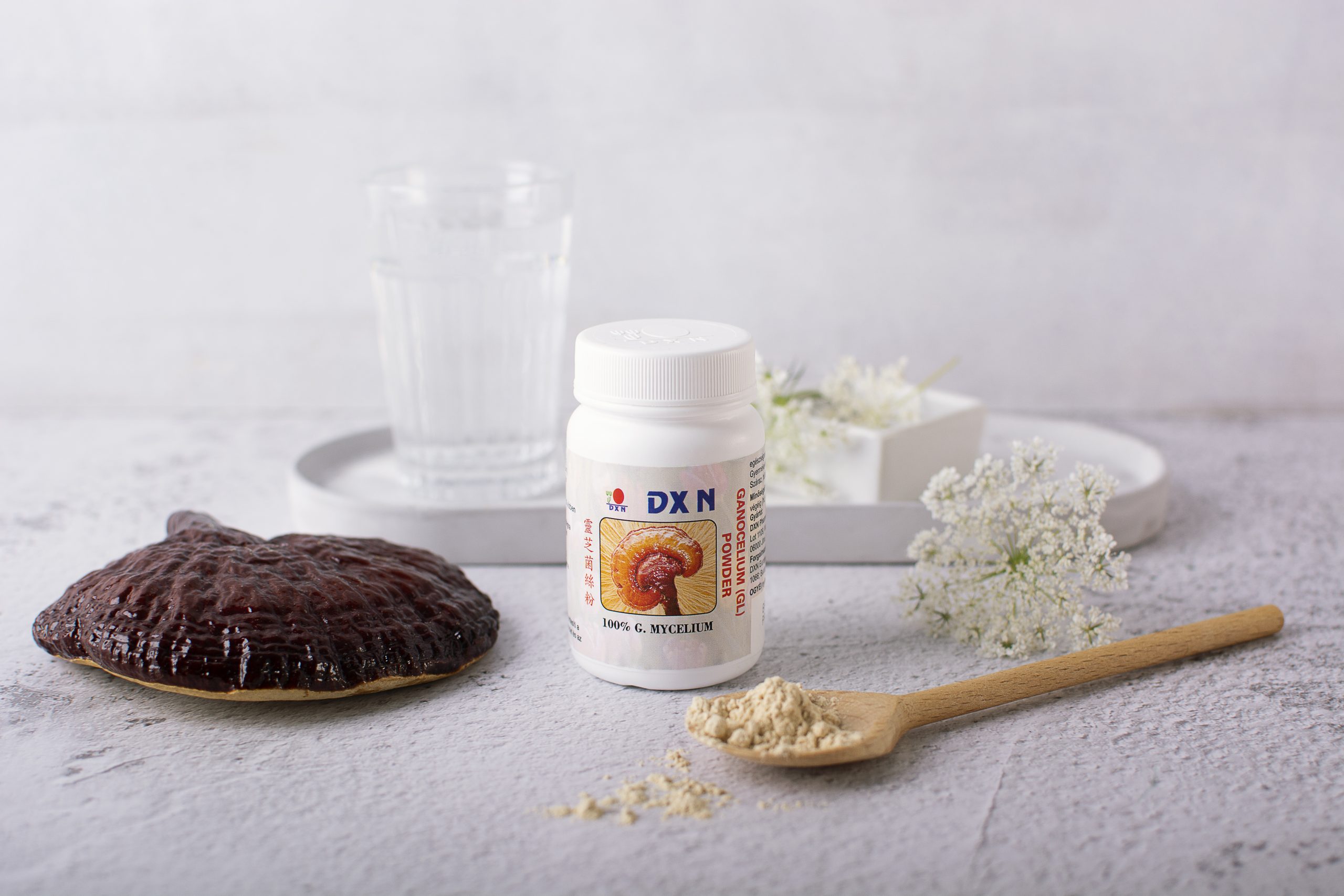 BIO Ganoderma DXN en polvo